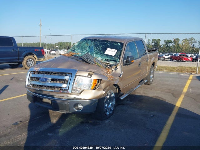 Ford F-150 Xlt 2014 1FTFW1CF6EKD93156 Image 2