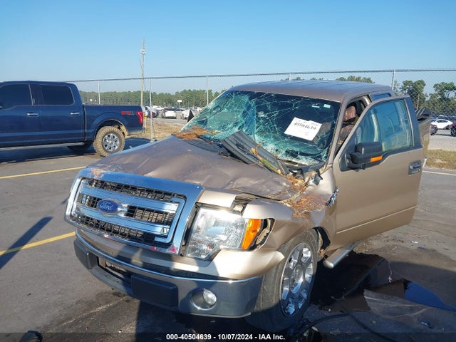 Ford F-150 Xlt 2014 1FTFW1CF6EKD93156 Image 6