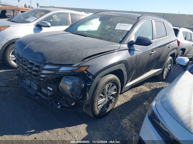 KM8JBCA15NU019761 Hyundai Tucson Hybrid Blue
