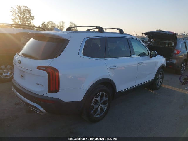 5XYP34HC0LG010392 KIA Telluride Ex