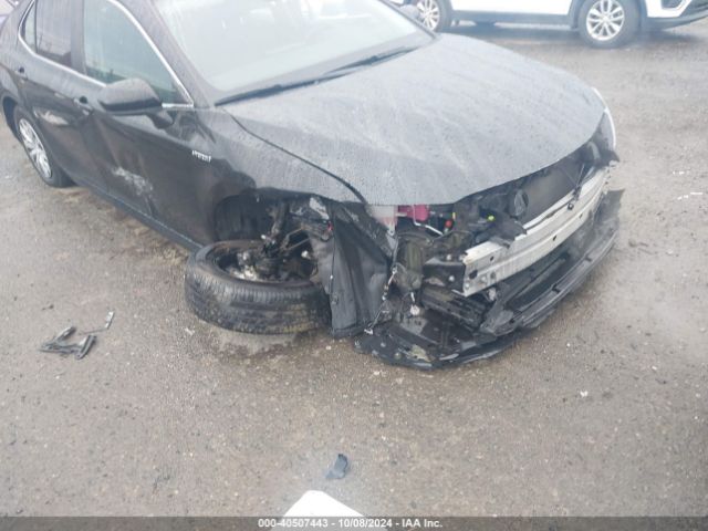 4T1C31AK3MU569560 Toyota Camry Le Hybrid