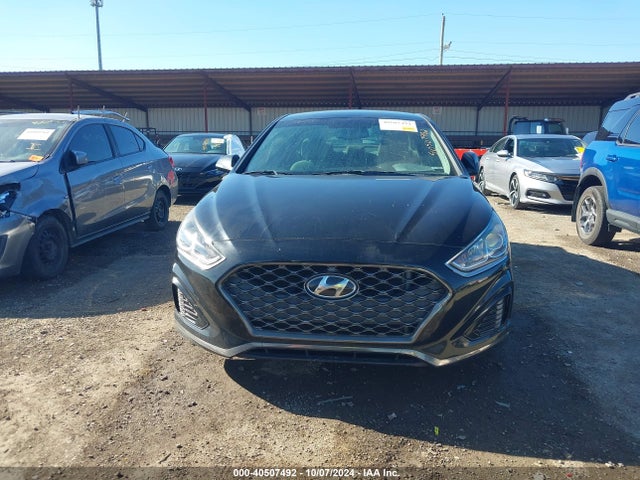 Hyundai SONATA SEL 2019 5NPE34AF3KH752062 Image 12