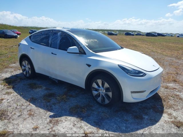 2023 TESLA MODEL Y 7SAYGDEE5PF618102 Photo 0