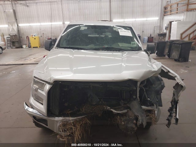 Ford F-150 Xlt 2015 1FTEW1EF8FKF22797 Image 13