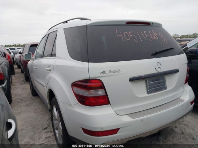 2011 MERCEDES-BENZ M-CLASS 4JGBB5GB6BA713095 Photo 2
