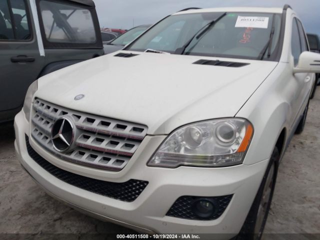 2011 MERCEDES-BENZ M-CLASS 4JGBB5GB6BA713095 Photo 5