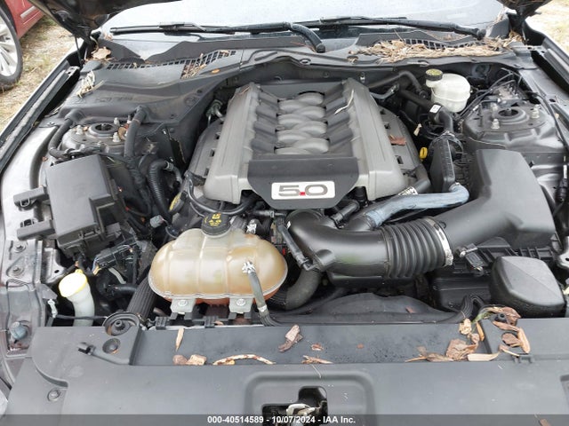 Ford Mustang Gt Premium 2015 1FA6P8CF5F5345434 Image 10