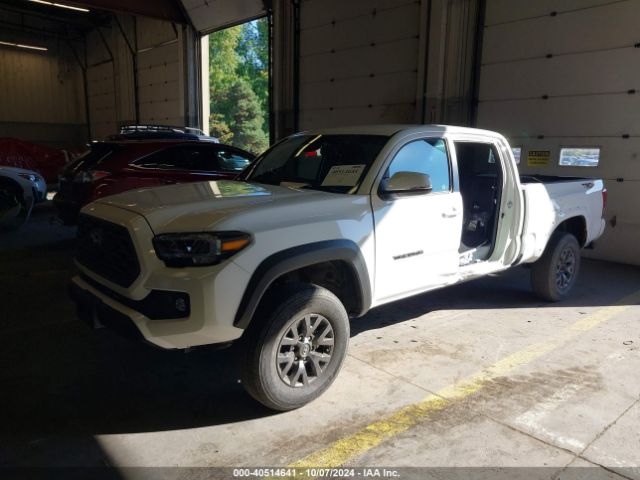 3TMDZ5BN7PM166746 Toyota Tacoma Trd Off Road