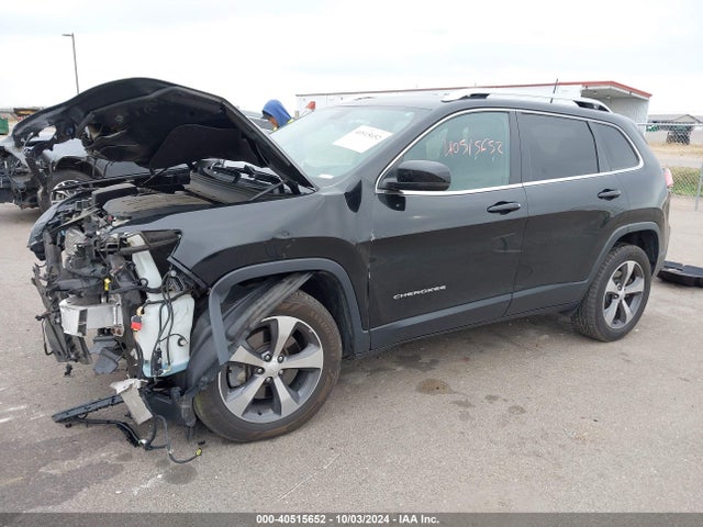 Jeep Cherokee Limited 4x4 2019 1C4PJMDX8KD240368 Image 2