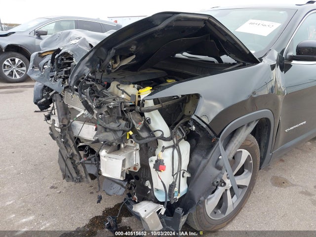 Jeep Cherokee Limited 4x4 2019 1C4PJMDX8KD240368 Image 6