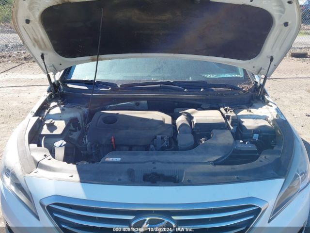 5NPE24AF5GH295653 Hyundai SONATA SE