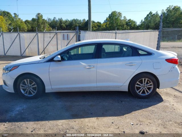 5NPE24AF5GH295653 Hyundai SONATA SE