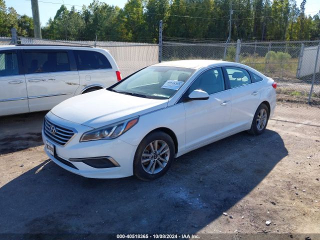 5NPE24AF5GH295653 Hyundai SONATA SE