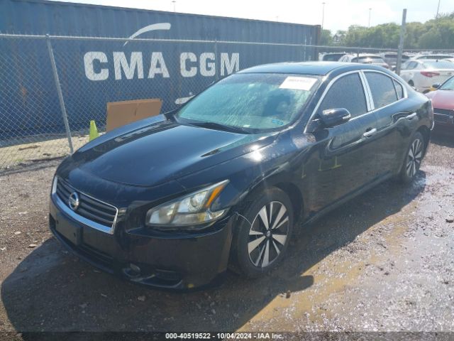 1N4AA5APXEC910454 Nissan Maxima 3.5 Sv