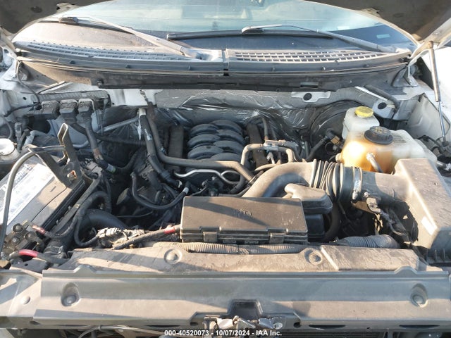 Ford F-150 Xlt 2014 1FTFW1CF2EFD11318 Image 10