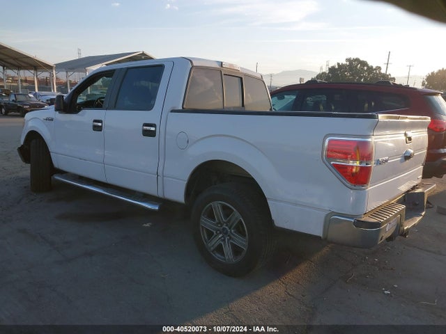Ford F-150 Xlt 2014 1FTFW1CF2EFD11318 Image 3