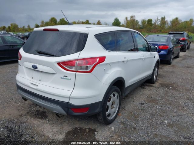 1FMCU0GX0EUA87396 Ford ESCAPE SE