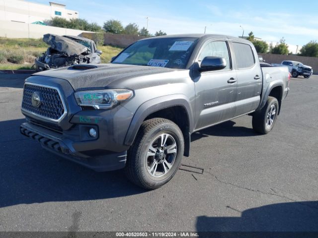 3TMCZ5AN8KM287405 Toyota Tacoma Trd Sport