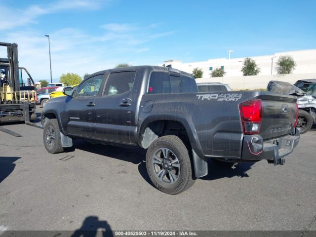 3TMCZ5AN8KM287405 Toyota Tacoma Trd Sport