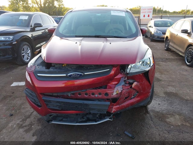 Ford ESCAPE SE 2014 1FMCU0GX3EUB97942 Image 6