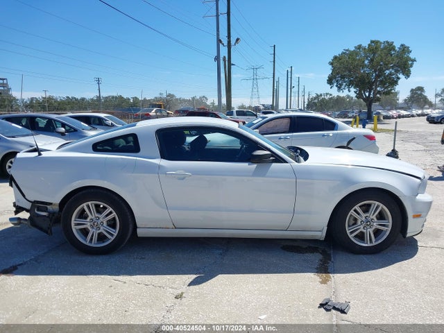 Ford Mustang V6 2014 1ZVBP8AM3E5282050 Image 13