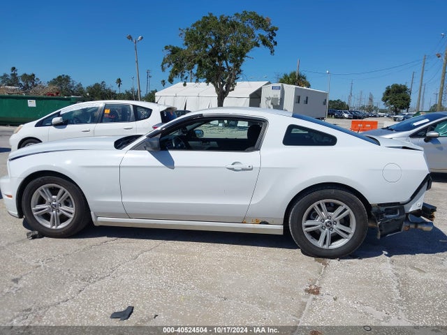Ford Mustang V6 2014 1ZVBP8AM3E5282050 Image 14
