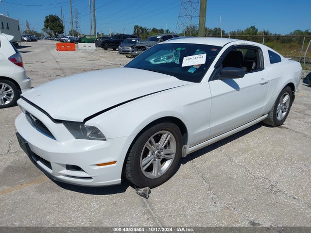 Ford Mustang V6 2014 1ZVBP8AM3E5282050 Image 2