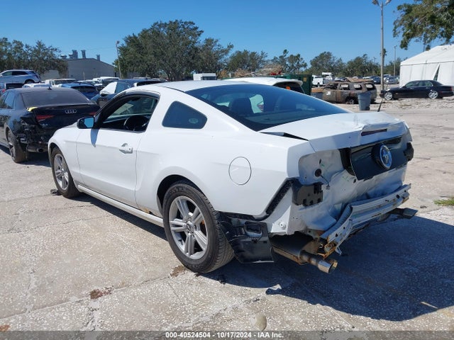 Ford Mustang V6 2014 1ZVBP8AM3E5282050 Image 3