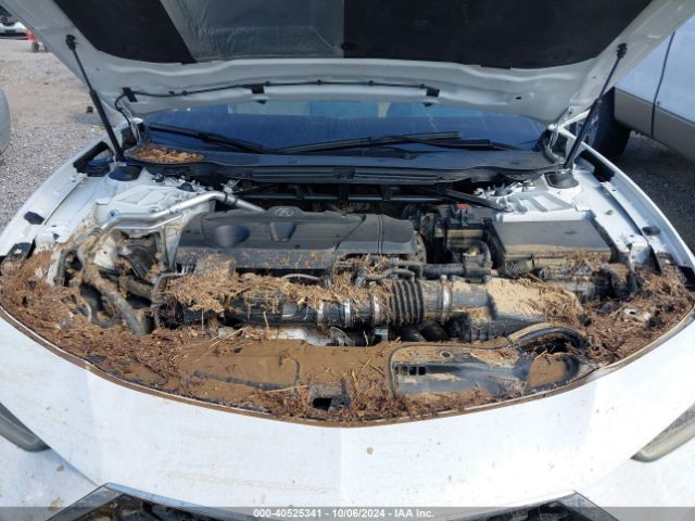19UUB5F36MA000726 Acura Tlx Standard
