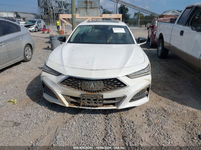 19UUB5F36MA000726 Acura Tlx Standard