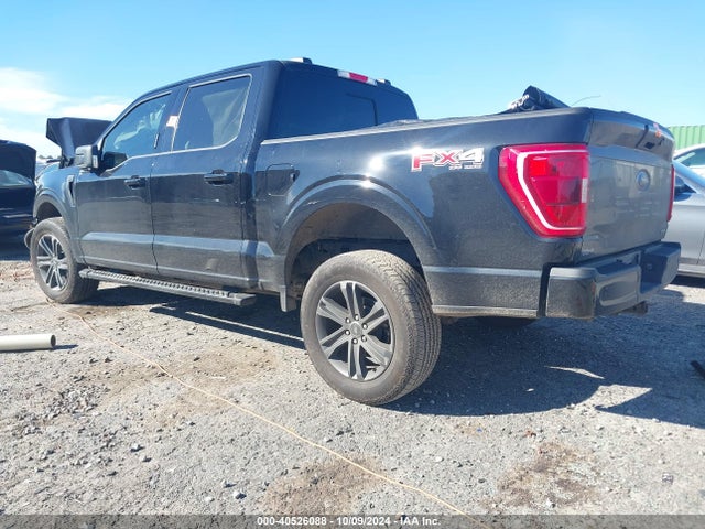 Ford F-150 Xlt 2023 1FTFW1E86PKE01287 Image 3