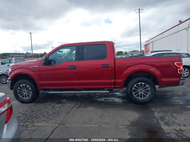 Ford F-150 Xlt 2019 1FTEW1CP8KKD46906 Image 14