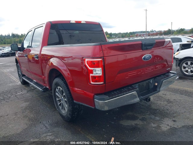Ford F-150 Xlt 2019 1FTEW1CP8KKD46906 Image 3