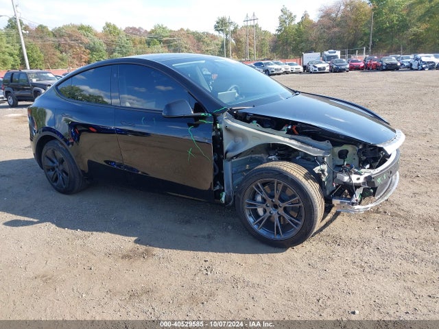 2024 TESLA MODEL Y 7SAYGDED5RF130214 Photo 0