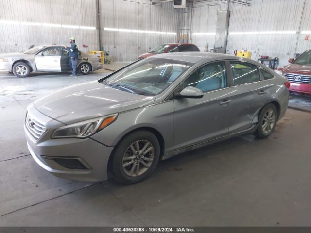 5NPE24AF4GH399051 Hyundai Sonata