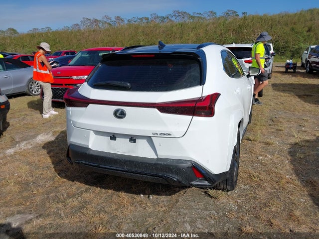 JTHR6JBH9P2143170 Lexus Ux 250h F Sport Handling
