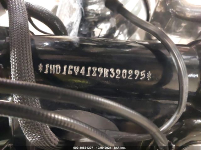 2009 HARLEY-DAVIDSON FXDF 1HD1GY4189K320295 Photo 9
