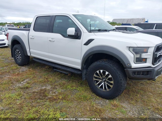 Ford F-150 Raptor 2019 1FTFW1RG8KFA53902 Image 1