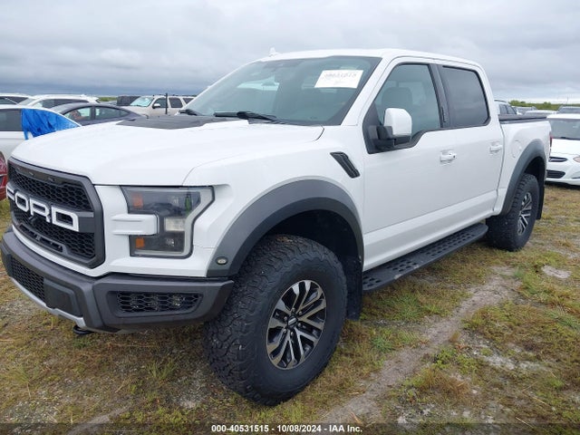 Ford F-150 Raptor 2019 1FTFW1RG8KFA53902 Image 2