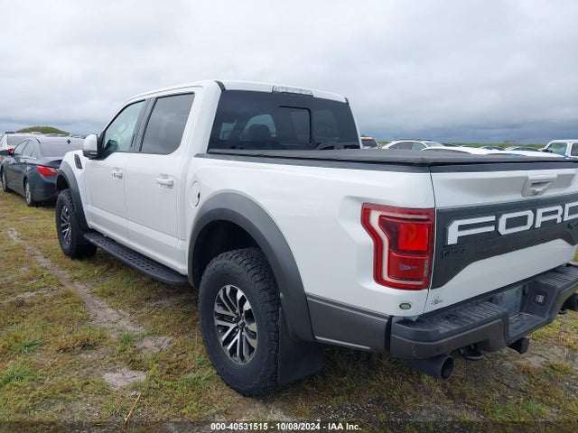 Ford F-150 Raptor 2019 1FTFW1RG8KFA53902 Image 3