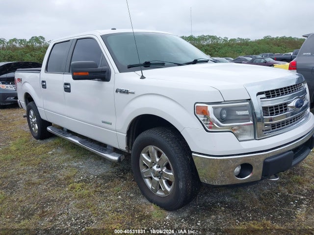 Ford F-150 Xlt 2014 1FTFW1ETXEFC30652 Image 1