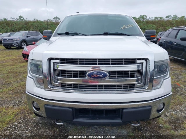 Ford F-150 Xlt 2014 1FTFW1ETXEFC30652 Image 12