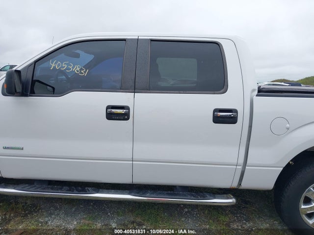 Ford F-150 Xlt 2014 1FTFW1ETXEFC30652 Image 14