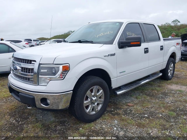 Ford F-150 Xlt 2014 1FTFW1ETXEFC30652 Image 2