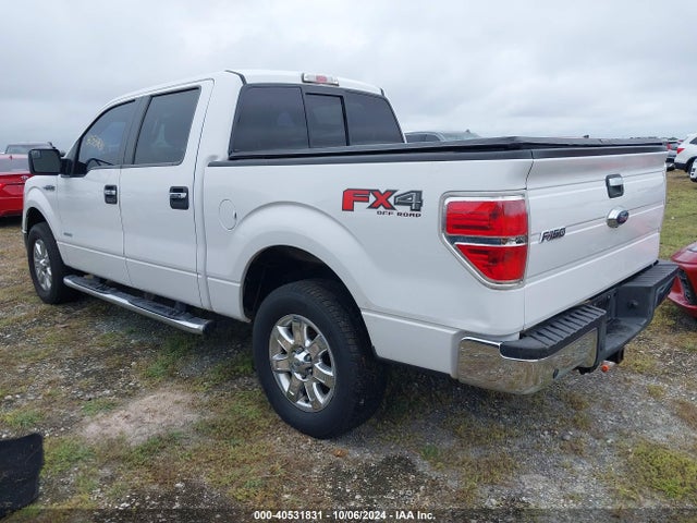 Ford F-150 Xlt 2014 1FTFW1ETXEFC30652 Image 3