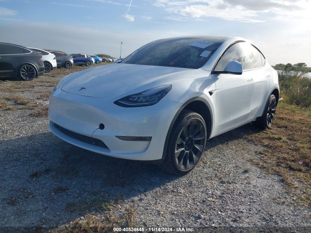 2020 TESLA MODEL Y 5YJYGDEE3LF049208 Photo 1