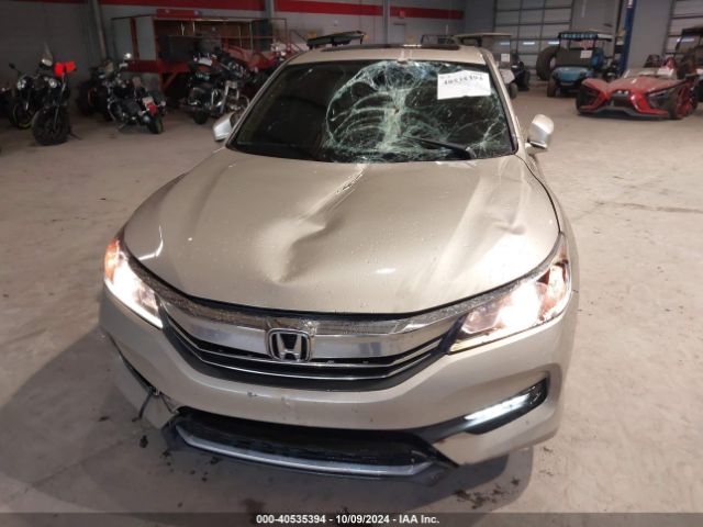 1HGCR3F84GA020307 Honda Accord Ex-l V-6