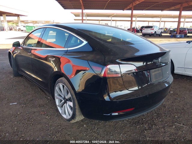 2019 TESLA MODEL 3 5YJ3E1EB4KF364800 Photo 2