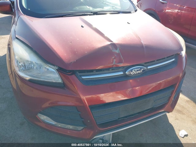 Ford ESCAPE SE 2016 1FMCU0G95GUC06791 Image 6