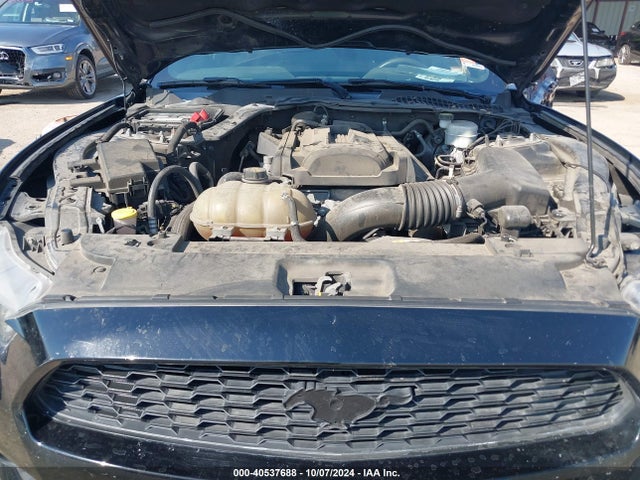 Ford Mustang Ecoboost 2017 1FA6P8TH1H5290744 Image 10